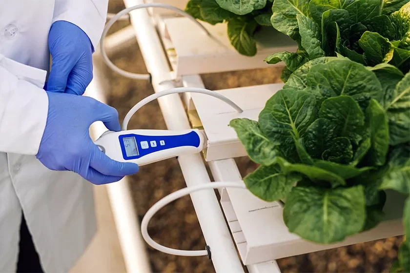Measuring growing conditions beside an irrigated crop
