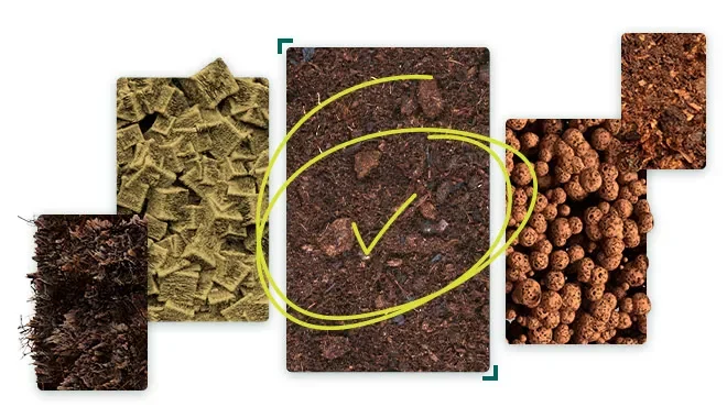 Different growing substrates for cultivation systems